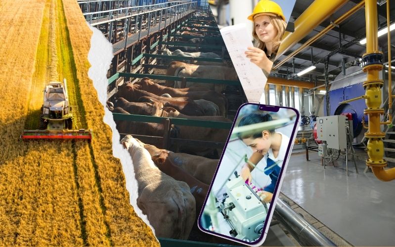 Doğu Anadolu Bölgesi 2020-2026 nüfus, ekonomi, üretim, istihdam, göç ve kalkınma verileri analiz görseli