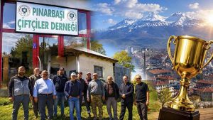 Pınarbaşı Tarım Festivali kapsamında düzenlenecek buzağı yarışmasına hazırlanan büyükbaş hayvanlar